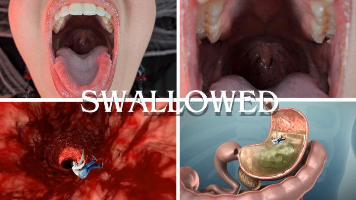 Swallowed Whole and Digested - Giantess Vores You