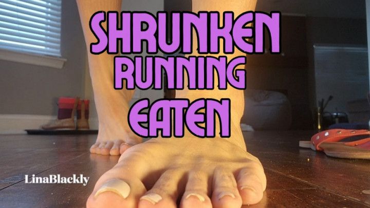 Unaware Giantess's New Snack