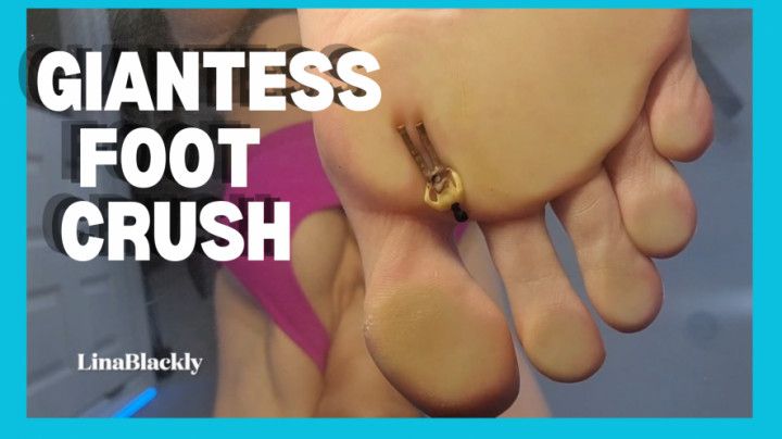 POV Crushed by Giantess Lina's Massive Feet