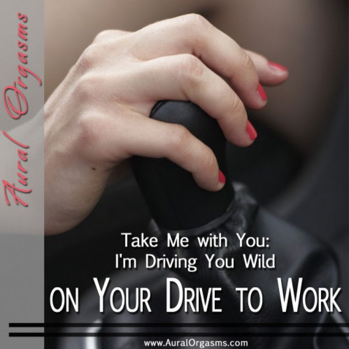 AUDIO: Take Me with You: I'm Driving You Wild on Your Drive