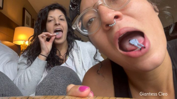 Tasting Tiny Perverts! Vore with Pawgzilla- femdom, giantess
