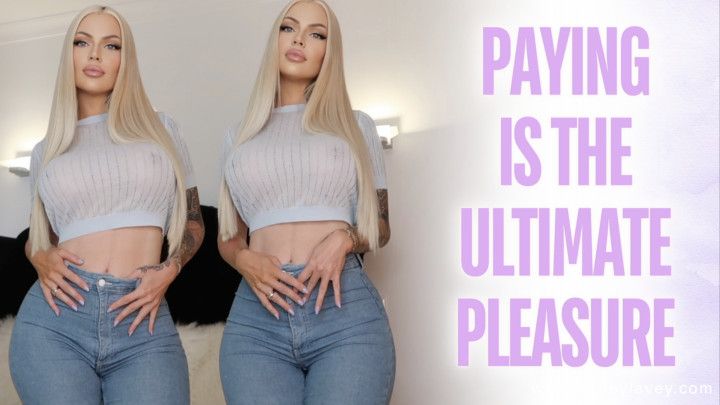 Paying is the Ultimate Pleasure 2