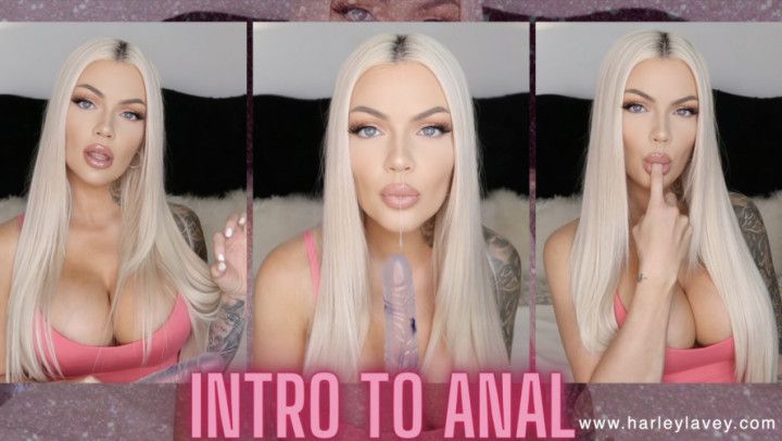 Intro to Anal