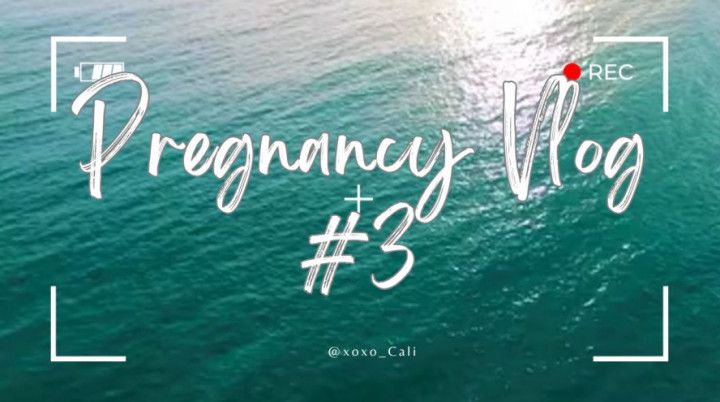 Pregnancy Vlog #3