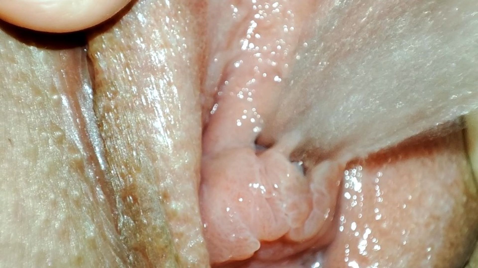 Extreme close up of pissing pussy