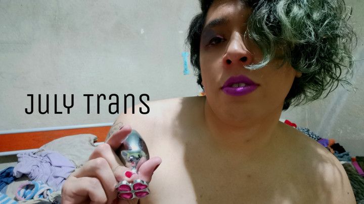 hey do you think this plug will fit