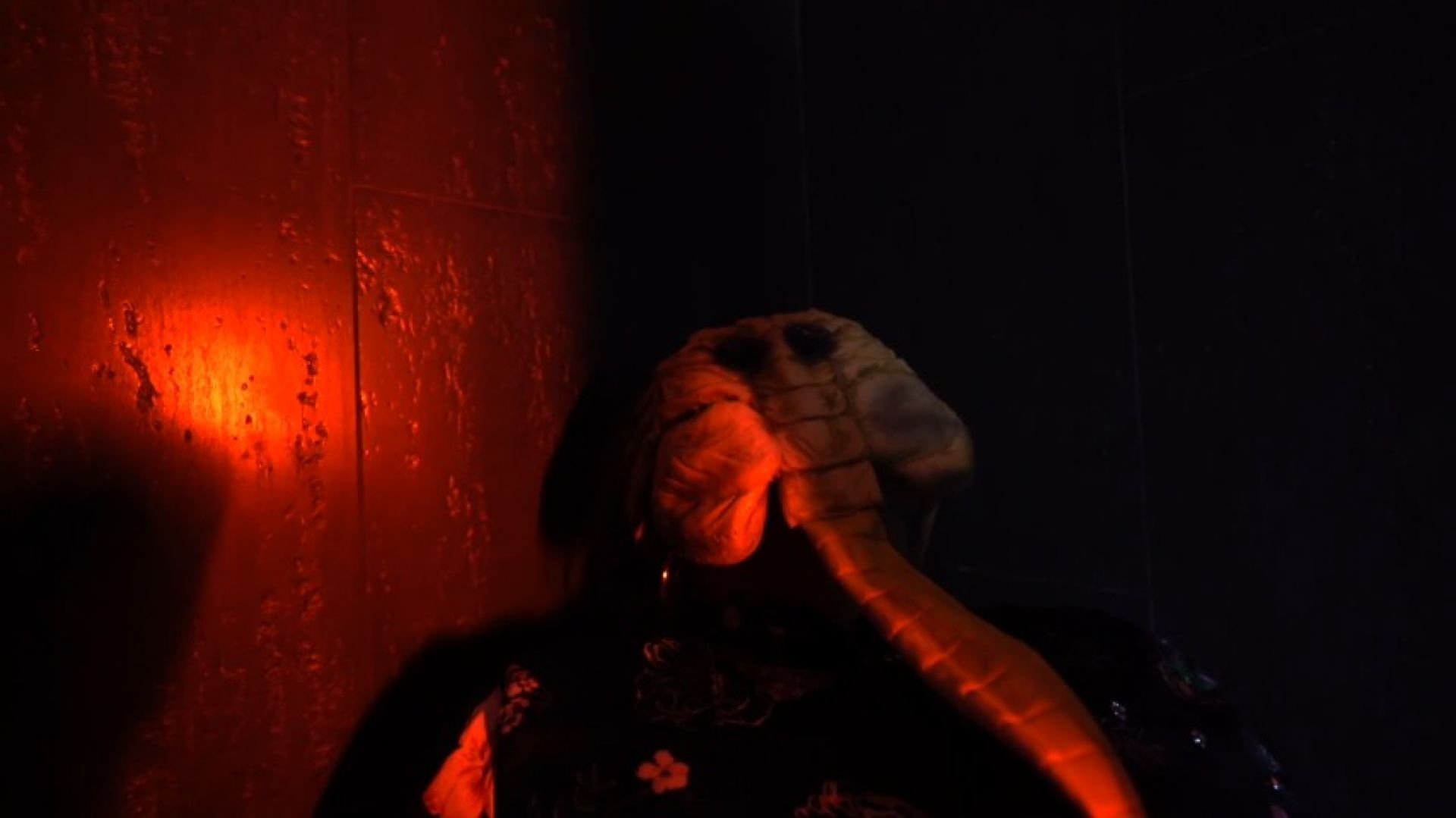 Secret Operation Alien