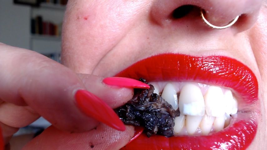 hungry giantess devours cooked octopus