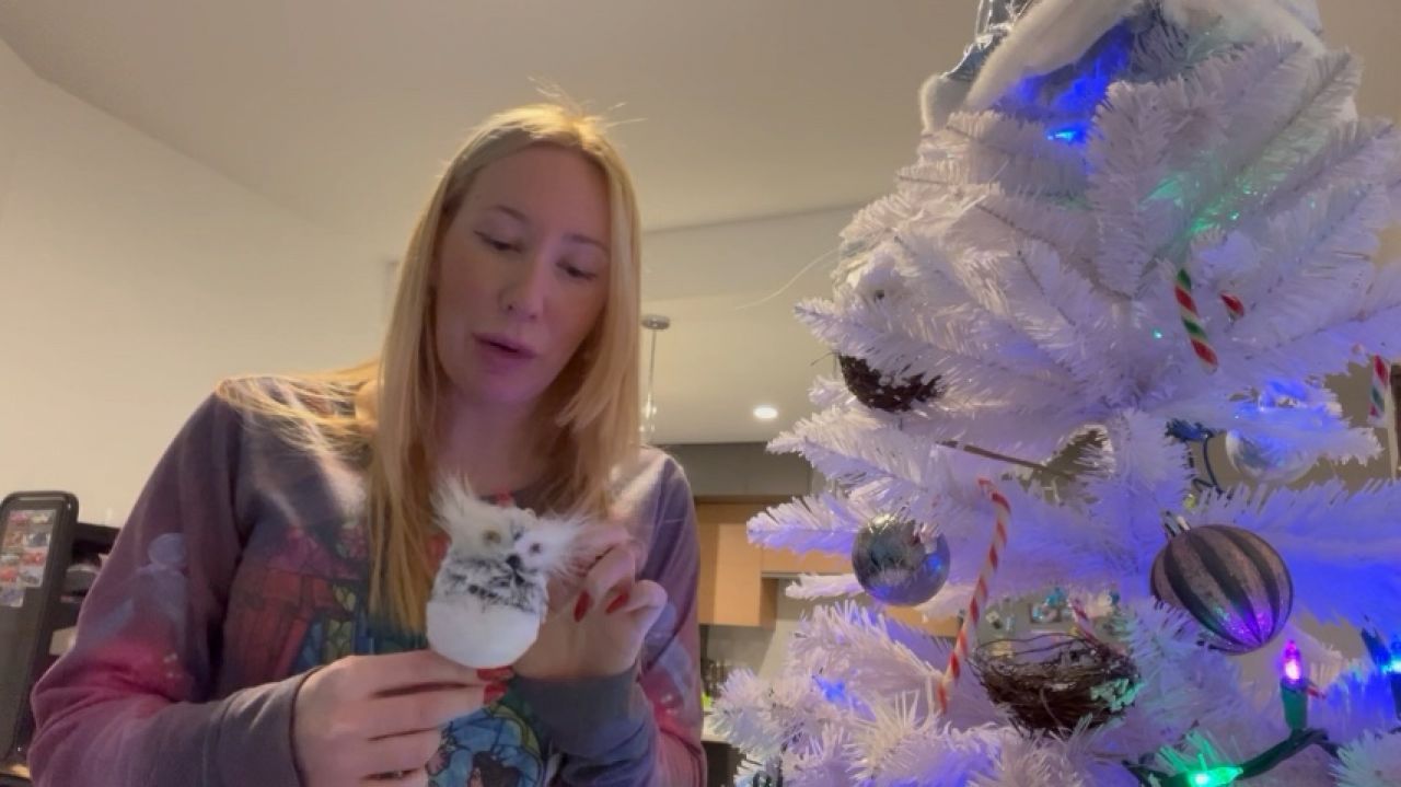 Christmas Tree Ornaments