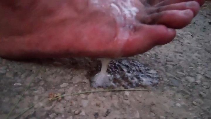 Video screenshot