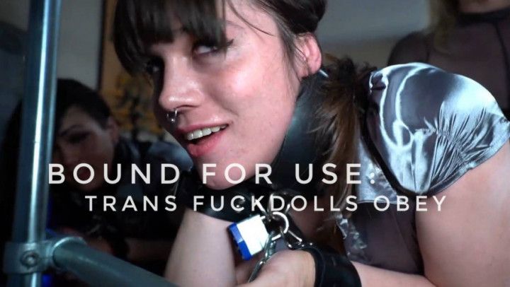 Bound for use: Trans Fuckdolls Obey