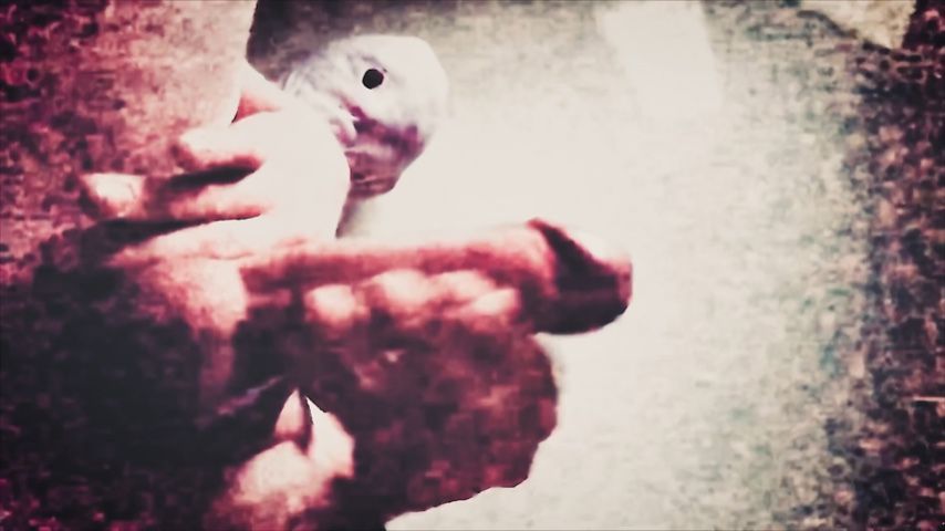 Video screenshot