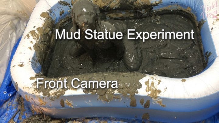 Mud Statue Experiments Front Angle