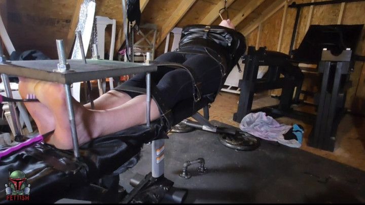 Bench Press - Paige Erin Turner