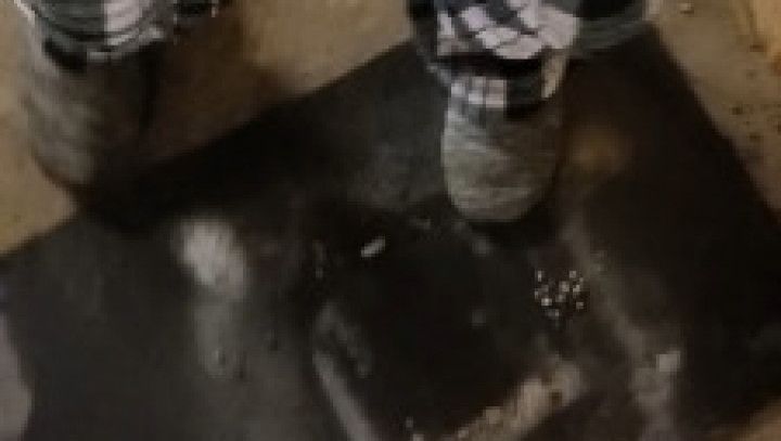 Late Night Snowy Pee