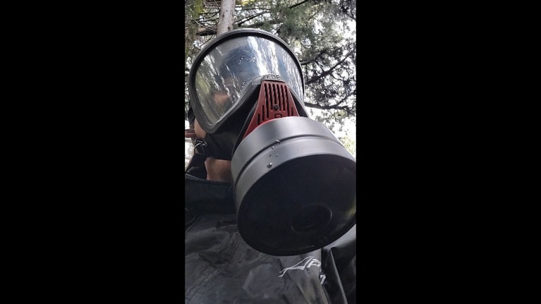 Breathing in the forest