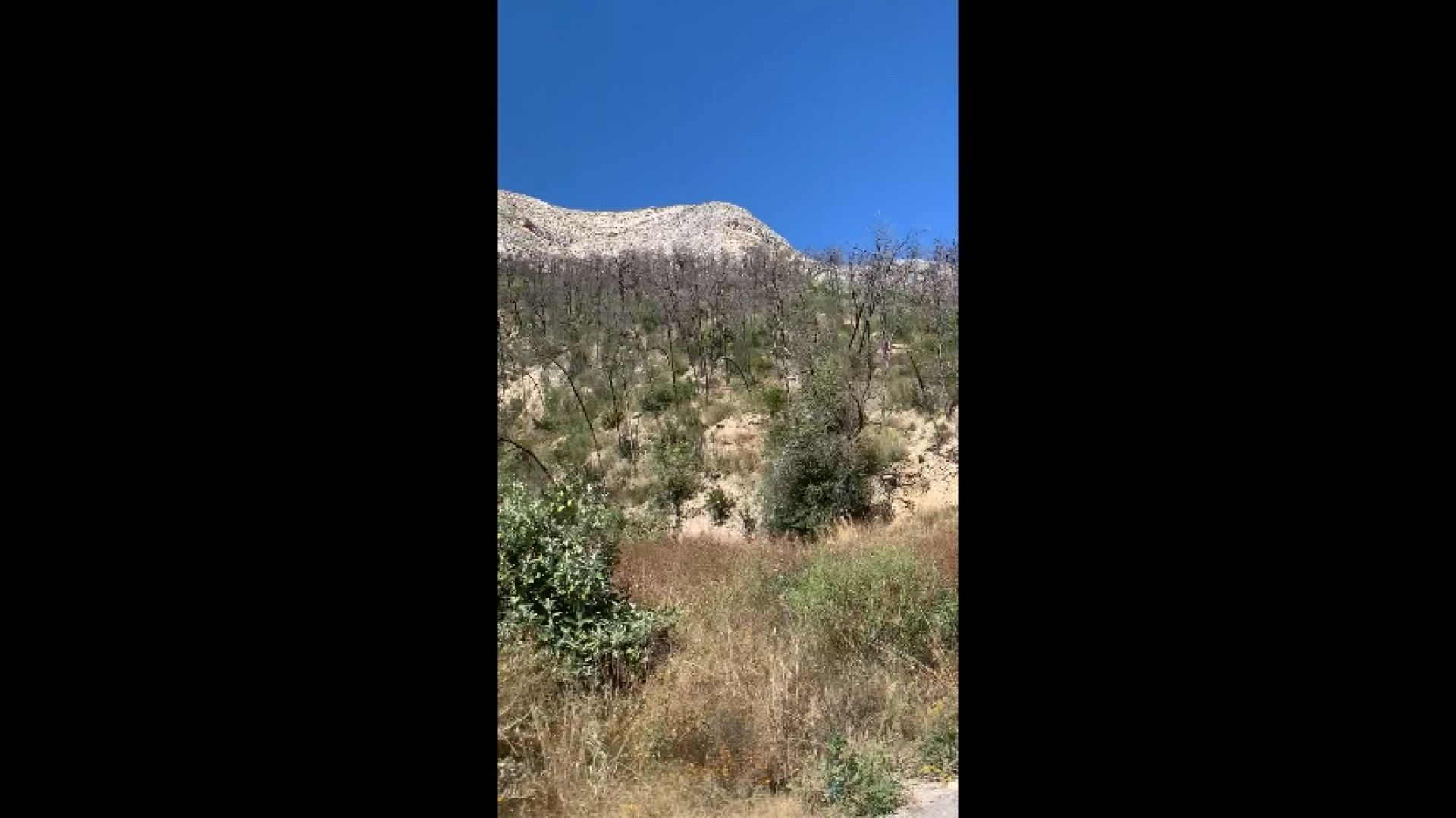 Views of beautiful Mexican mountains from our car