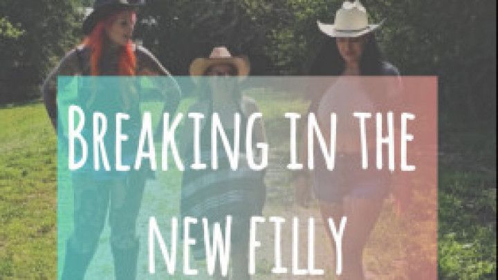 Breaking in the New Filly - ggg 1st lesbian experience