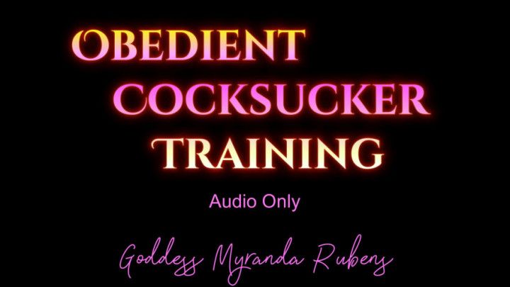 Obedient Cocksucker Training - Audio Only