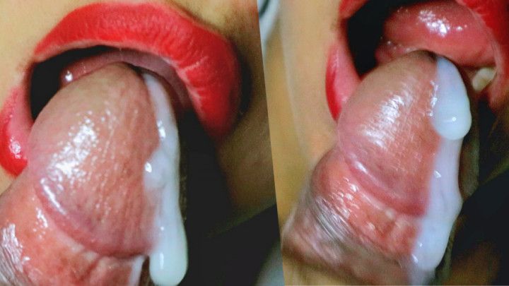 Close-up Blowjob sucking detailed - 4k