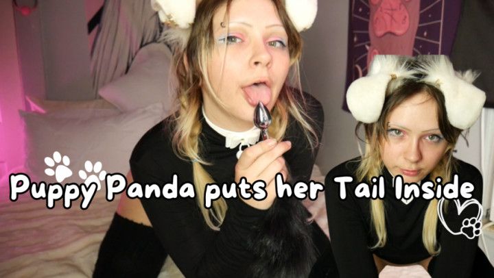 Panda puts Tail Inside
