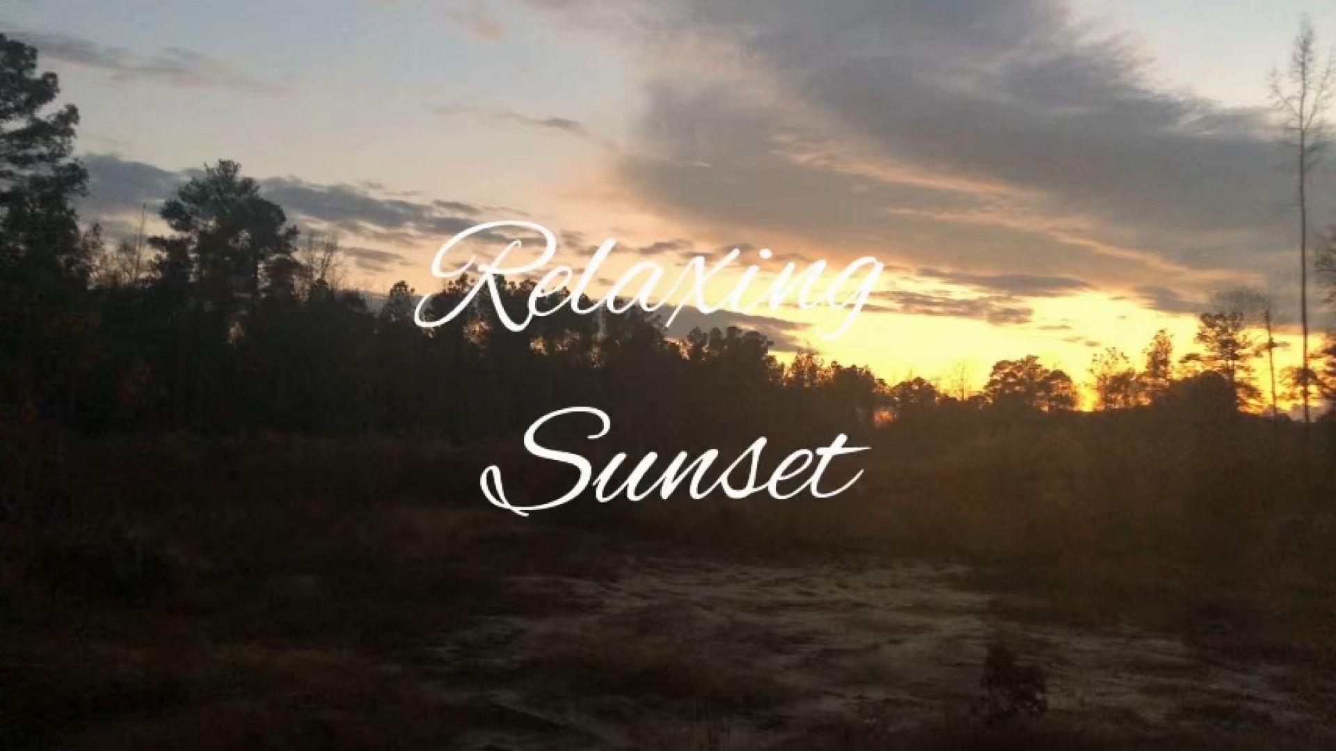 Beautiful Sunset &amp; Urban Turkey