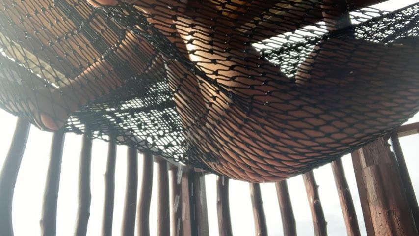 chill and pee in a hammock