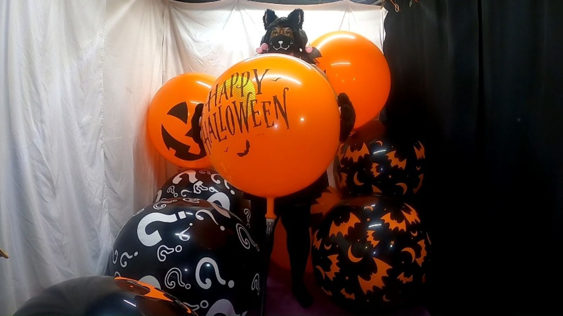 KIKYUU HALLOWEEN 2025 FUN