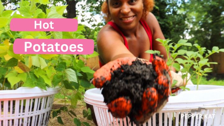 Hoeing in the Sun: Potato Plant Care