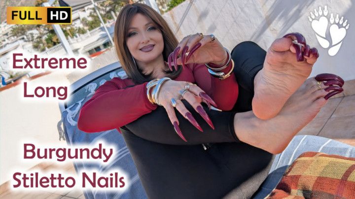 Extreme Long Burgundy Stiletto Nails