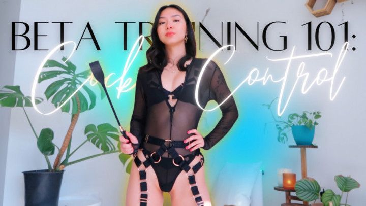 Beta Training 101: Cock Control