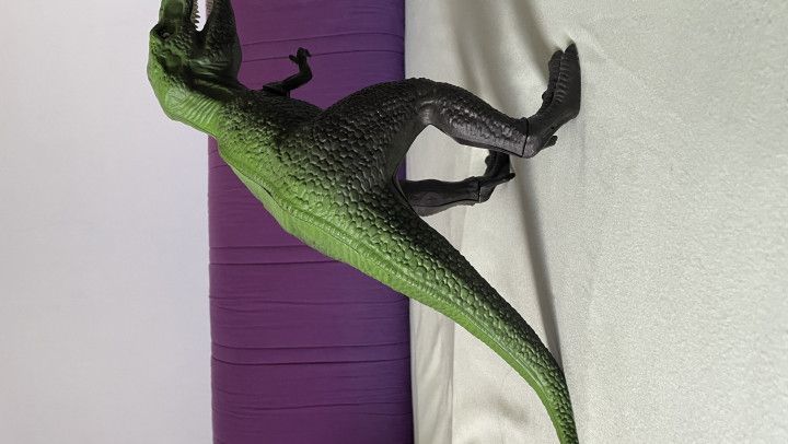 Playing with a T-toy