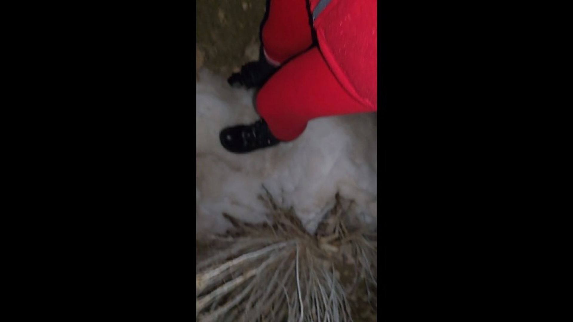 Video screenshot