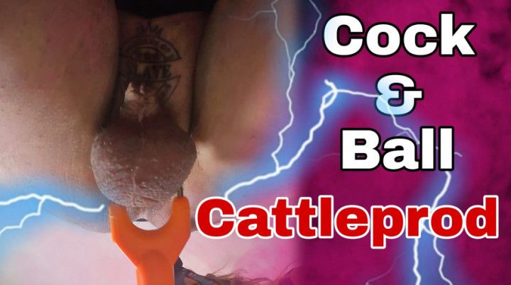 Chained Devotion &amp; Cattle Prod to Balls - Piss Slave