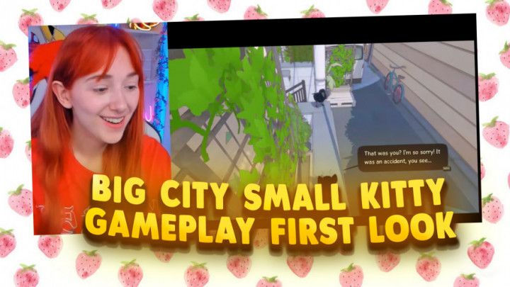 Big City Small Kitty Gameplay first look