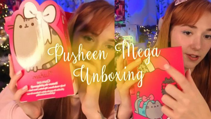 Pusheen Mega Unboxing