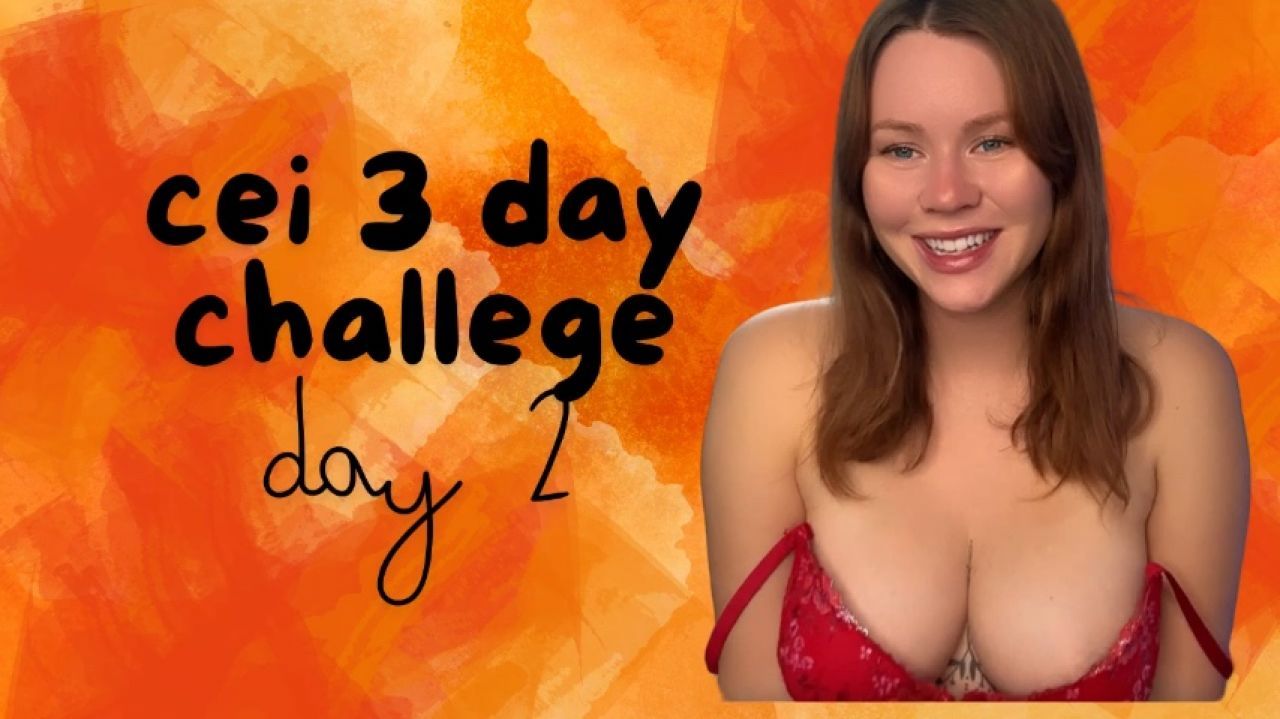 CEI Challenge day TWO