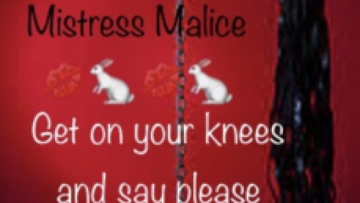 Free preview of findom content