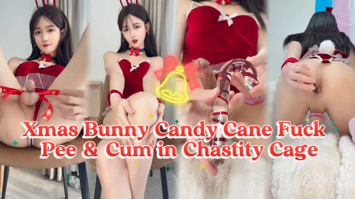 Sexy Xmas Bunny Candy Cane Play Pee and Cum in Chasity Cage