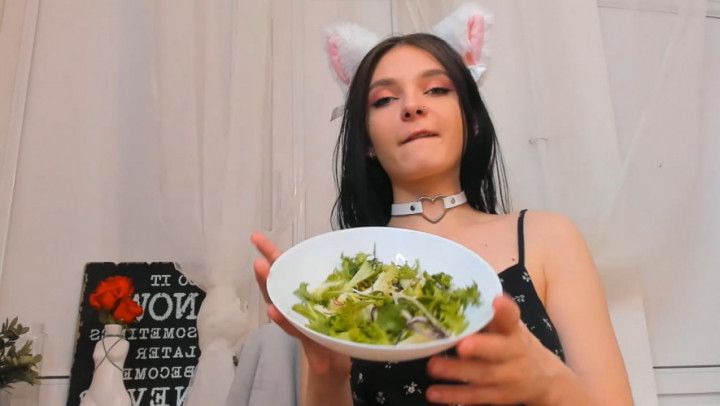 kitty eats salad