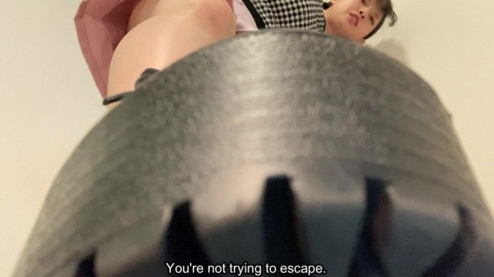 Giant mako, letting lick her shoes