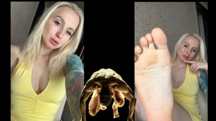 Video screenshot