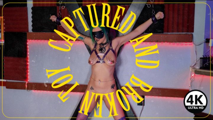 Caught and Broken Toy - 4k