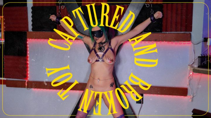 Caught and Broken Toy