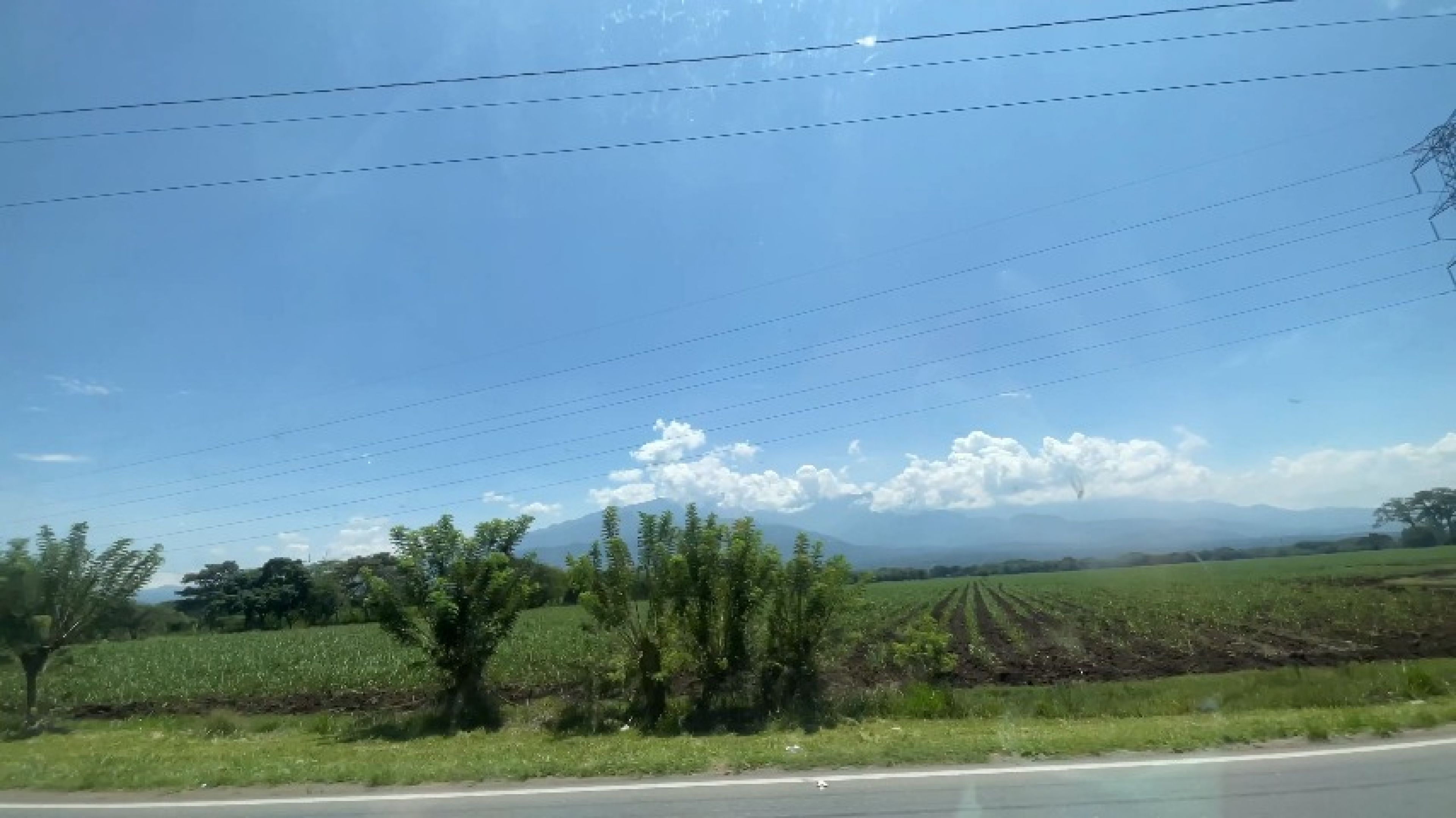 I love nature so much