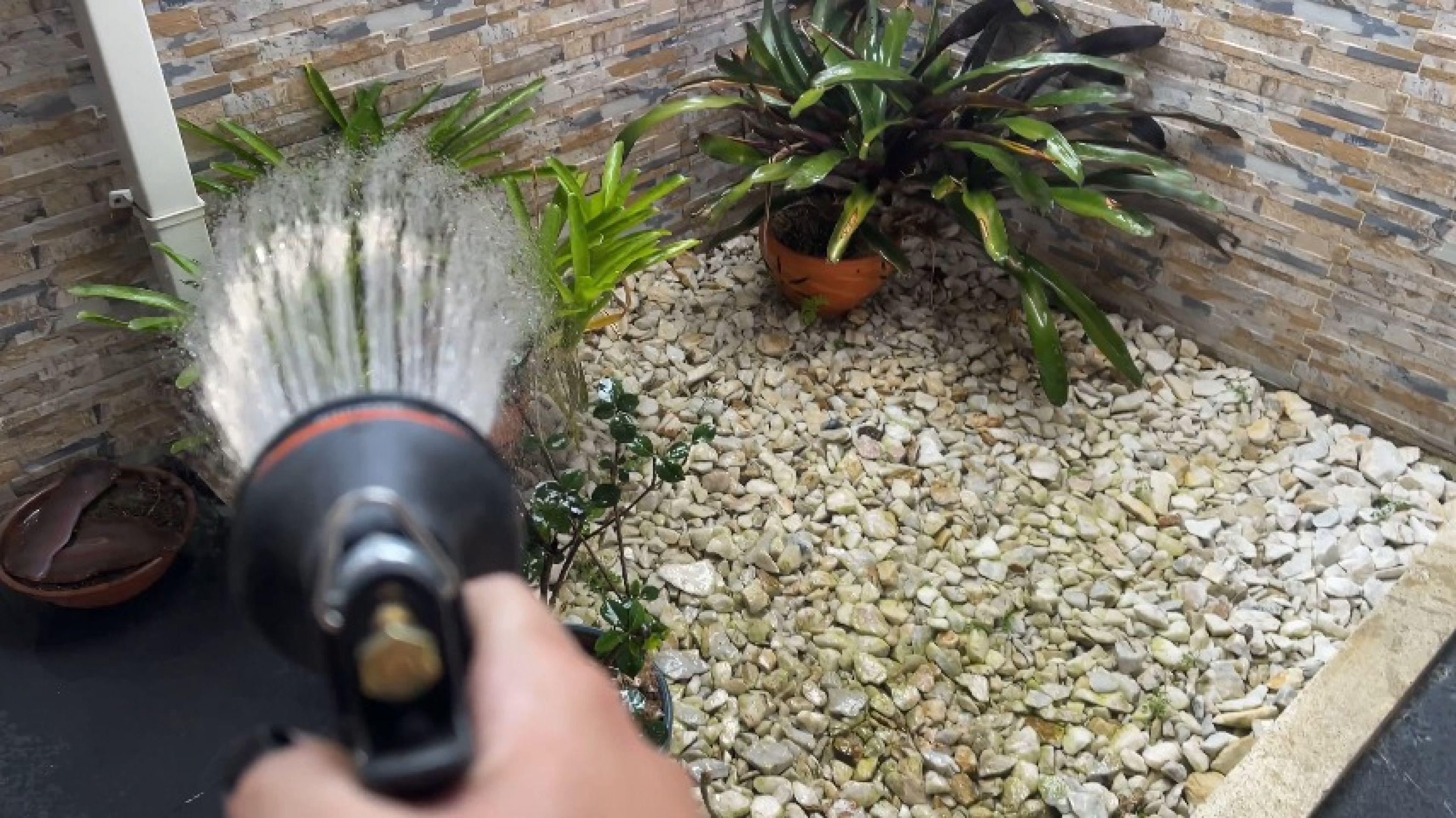 Gardening my Plants