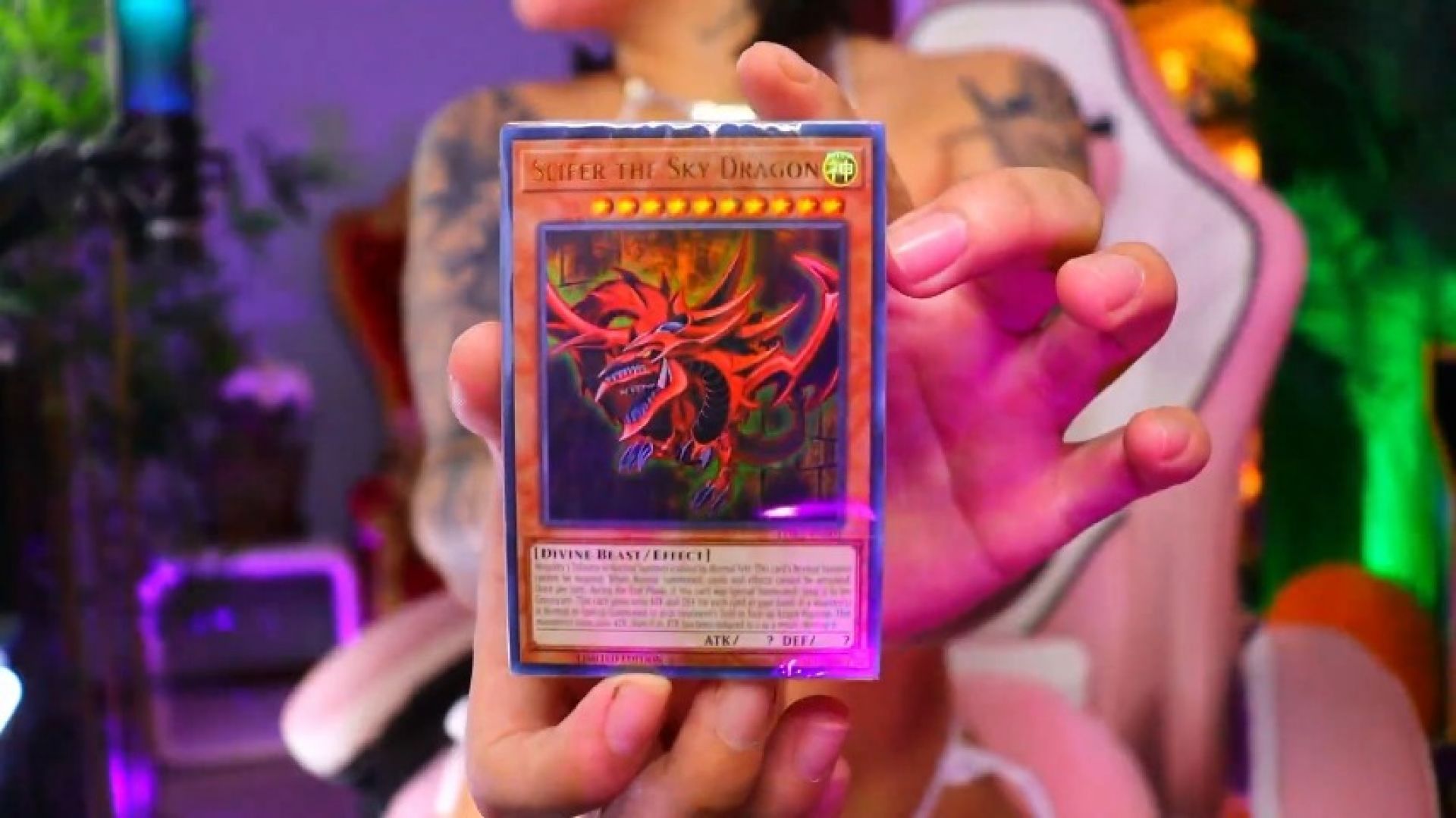 5-My Epic Card Collection: Yu-Gi-Oh, Magic, Pok\u00e9mon, One Piece