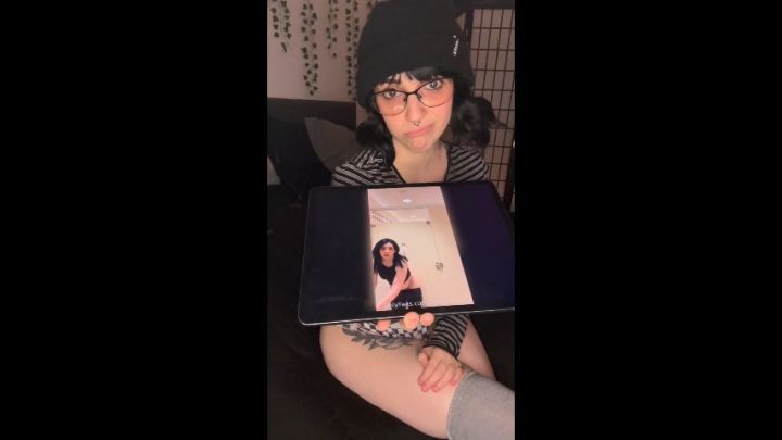 Kitten bullies herself w/ old wedgie videos