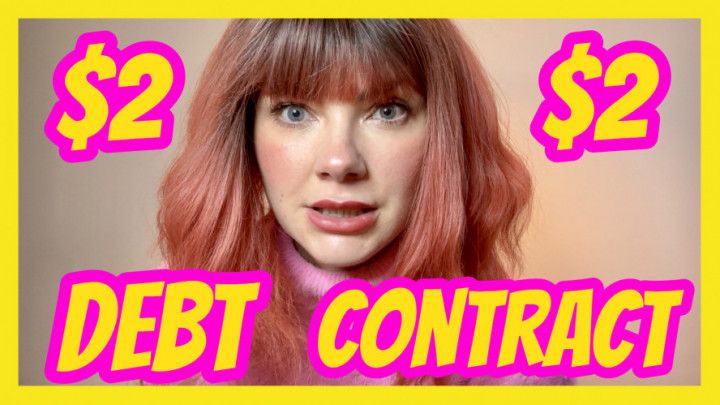 2 Debt Contract