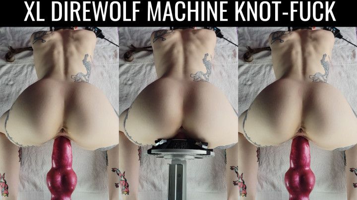 Machine knot-fuck from above w/ XL Direwolf